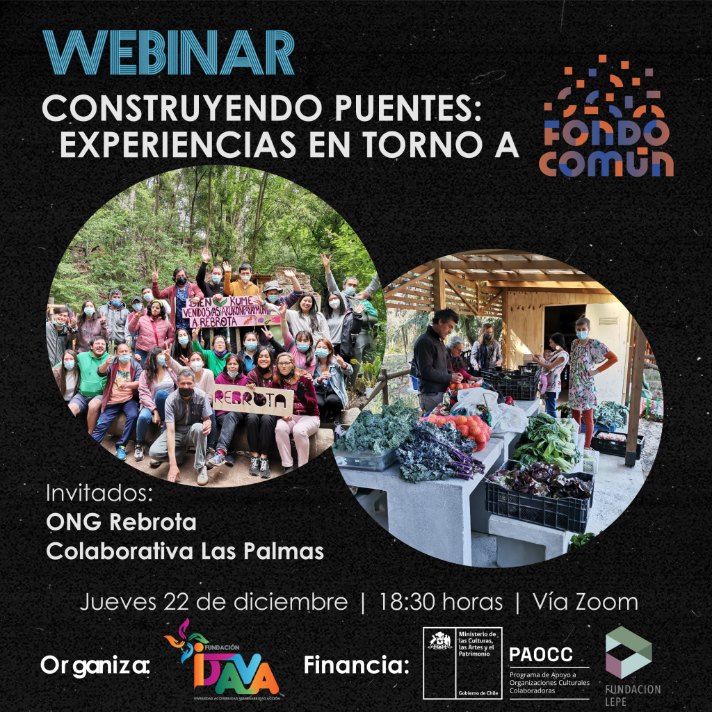 Afiche del Webinar Constuyendo Puentes, Experiencias de Fondo Común, de Fundación IDAVA, junto a la ONG Rebrota y la Colaborativa Las Palmas